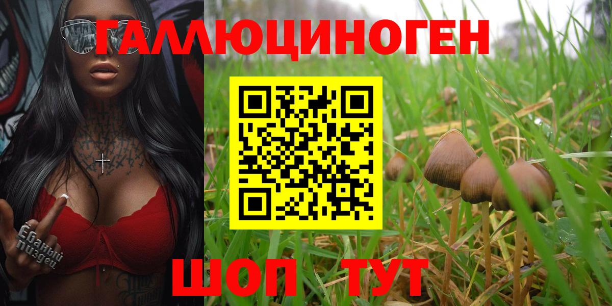 Псилоцибиновые грибы MAGIC MUSHROOMS Приморско-Ахтарск