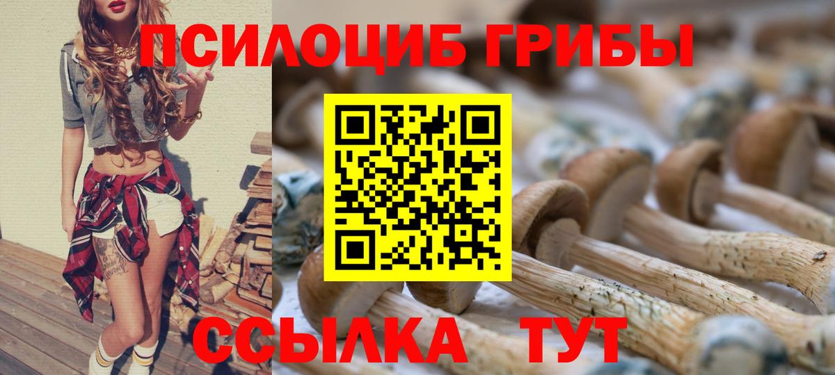 Приморско-Ахтарск  Галлюциногенные грибы Cubensis  Вход с VPN 