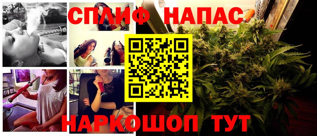 Бошки Шишки сатива Приморско-Ахтарск